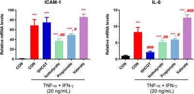 Modulation of the Gut Microbiota by Sihocheonggan-Tang Shapes the Immune Responses of Atopic Dermatitis